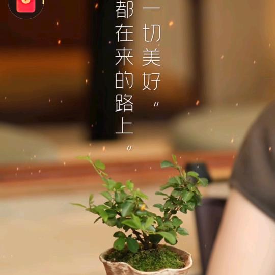 小红豆吧