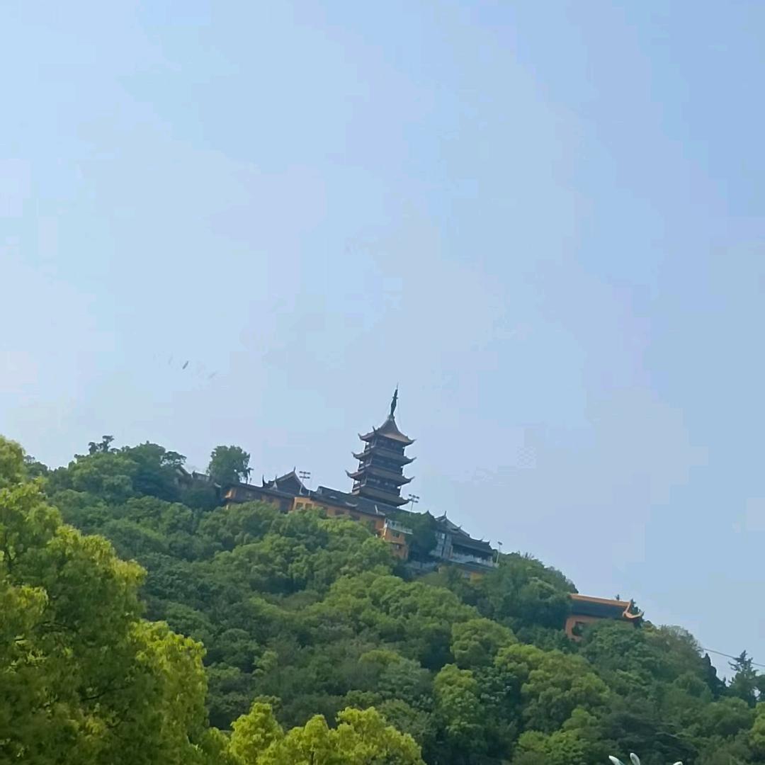 曼曼采摘草莓园。