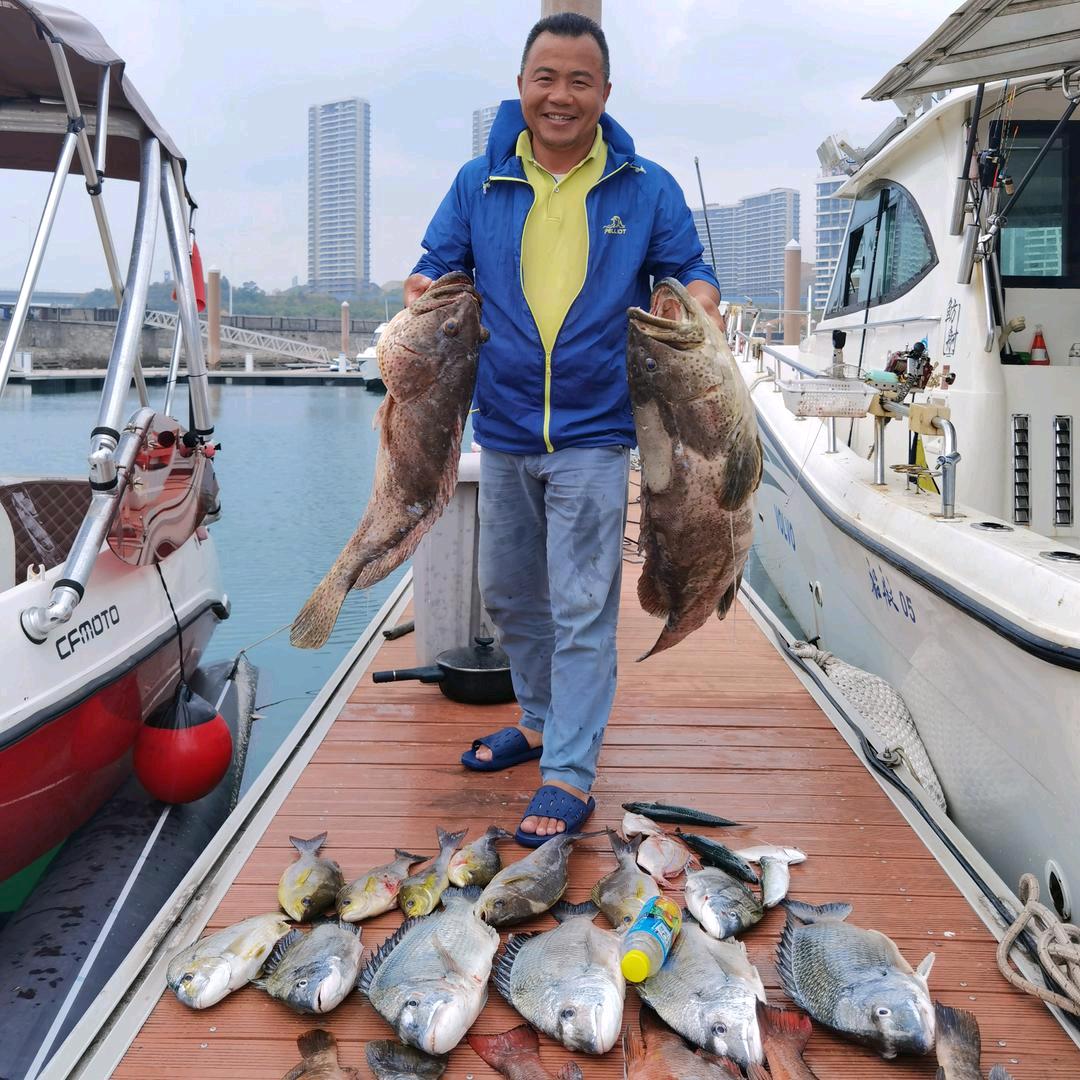 鲨鱼妹妹顶流机