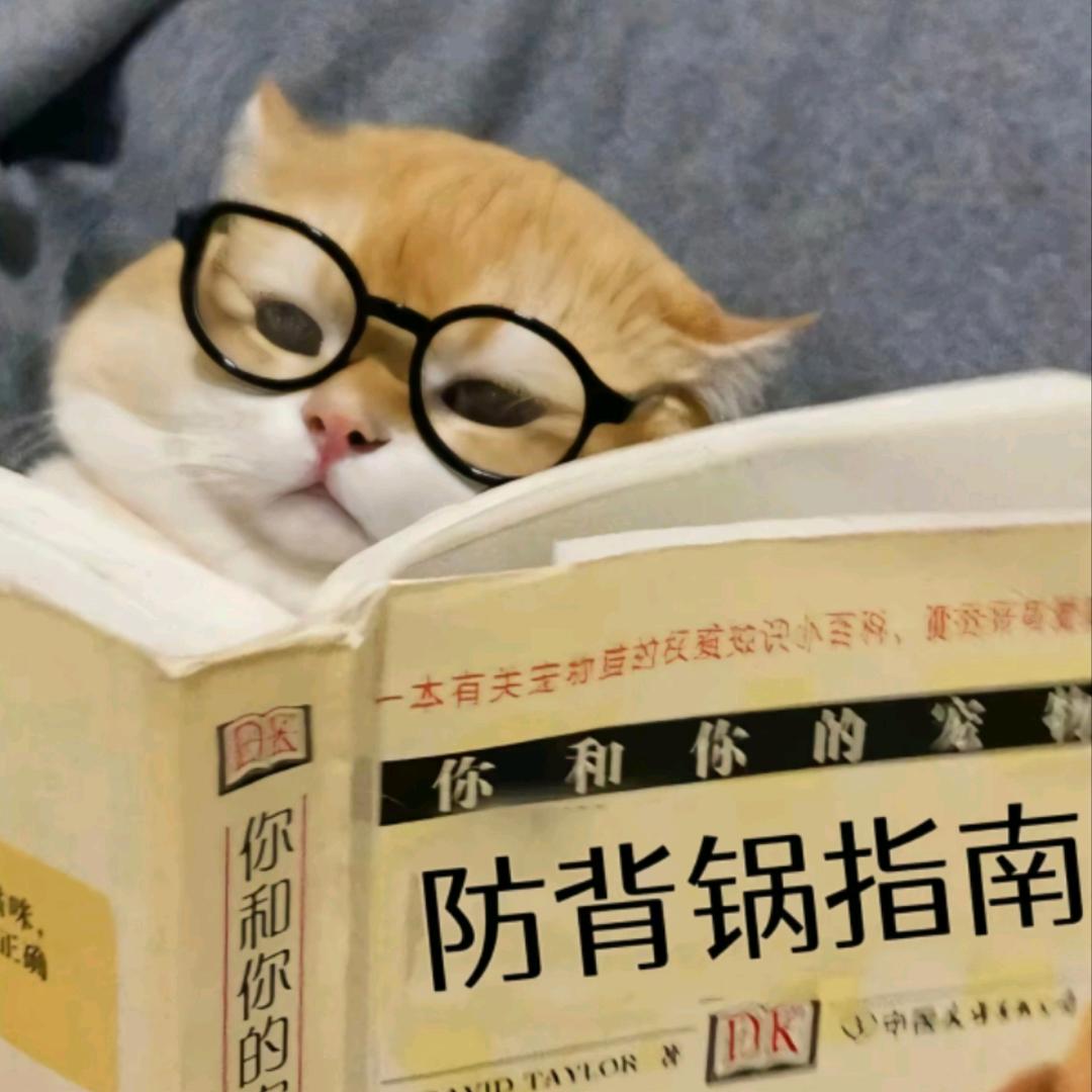 伟大的无籽西瓜🍉