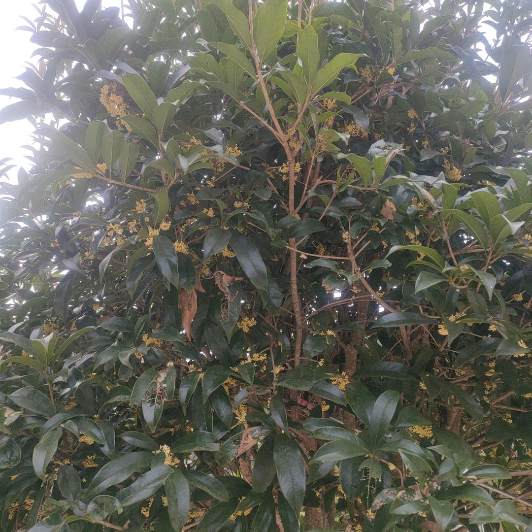 砥砺前行
