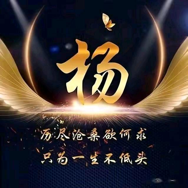 🐰杨扬