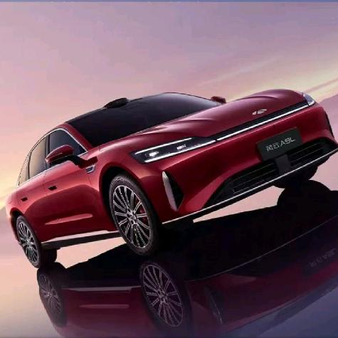 濮阳奇瑞风云总经理（刘）