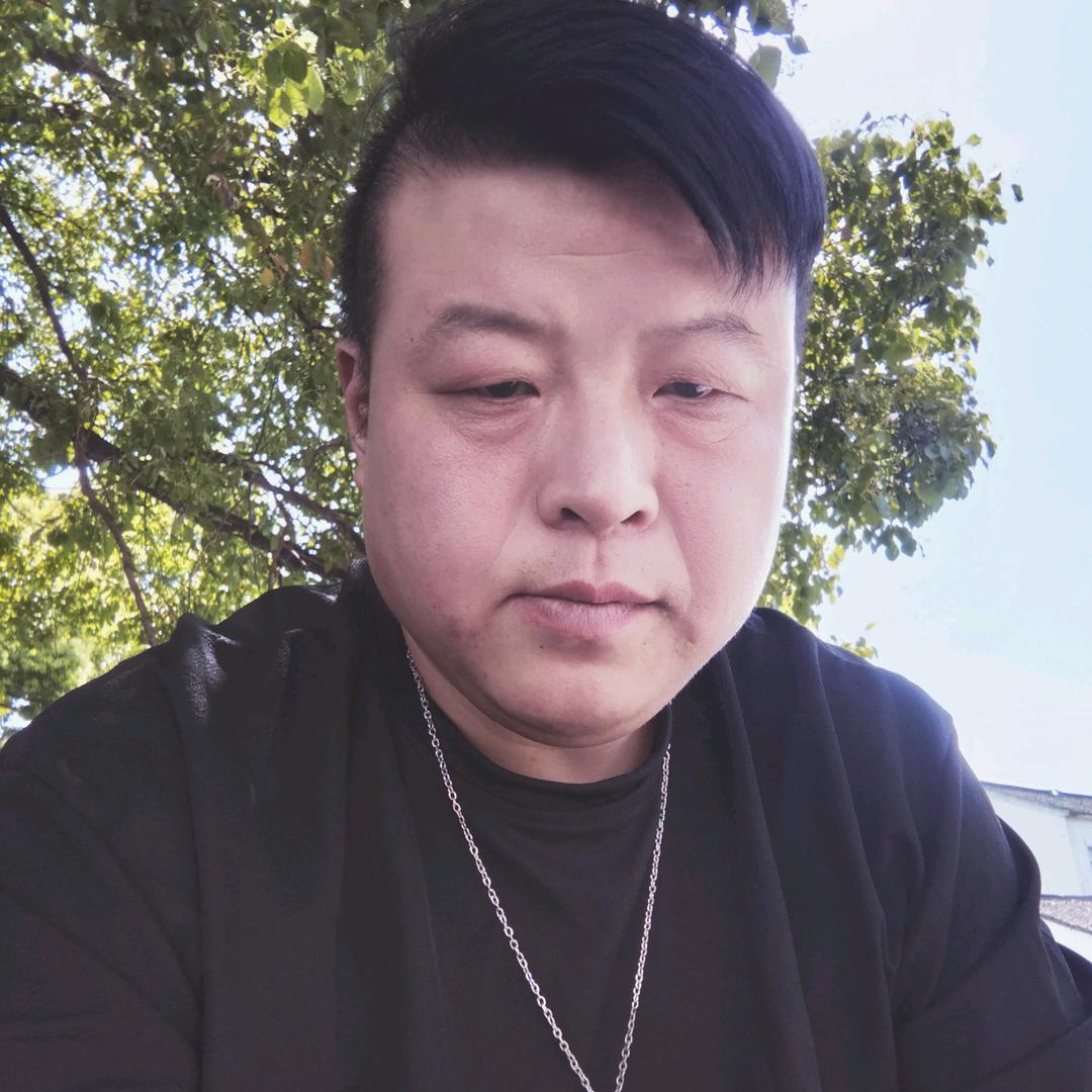 自由的风