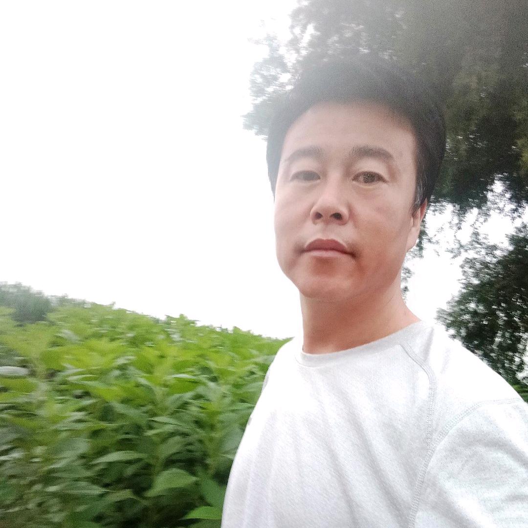 砖厂机电一体维修