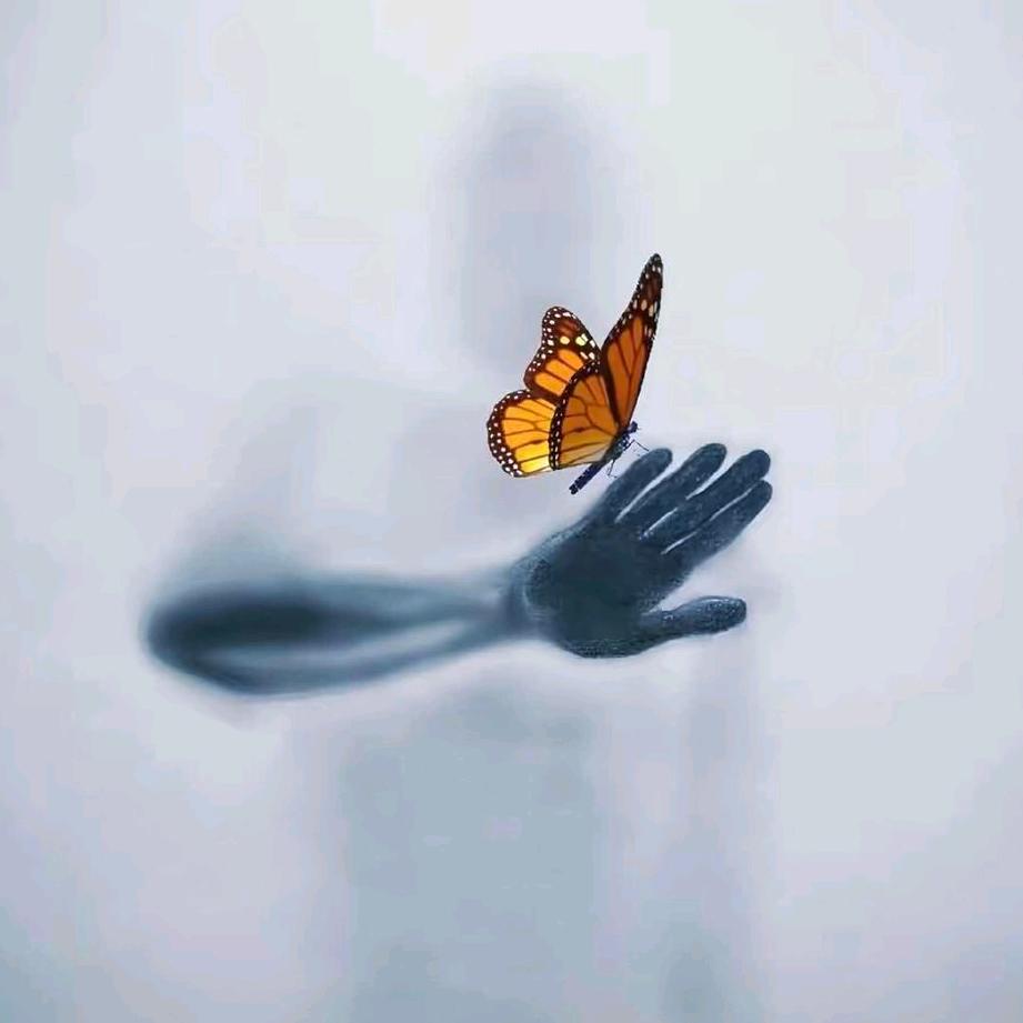 半盏剧场