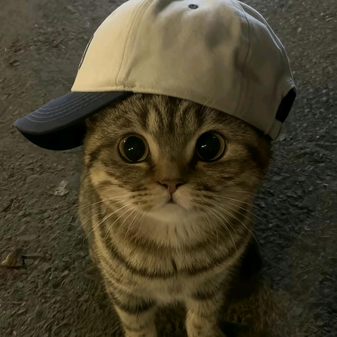 果粒橙GLC