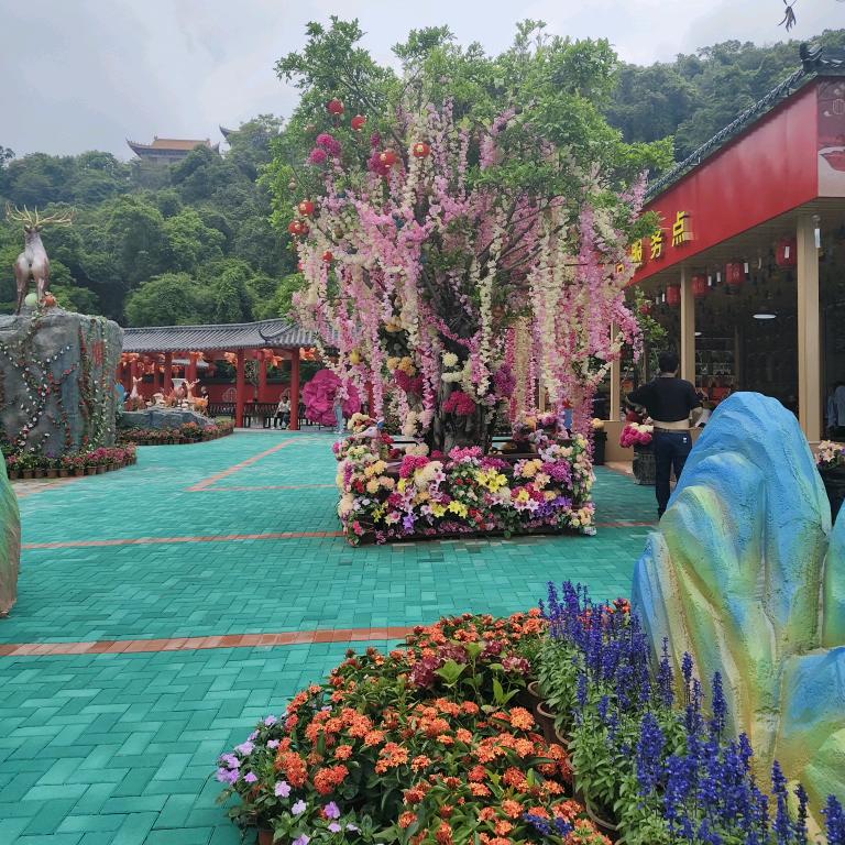 一往情深