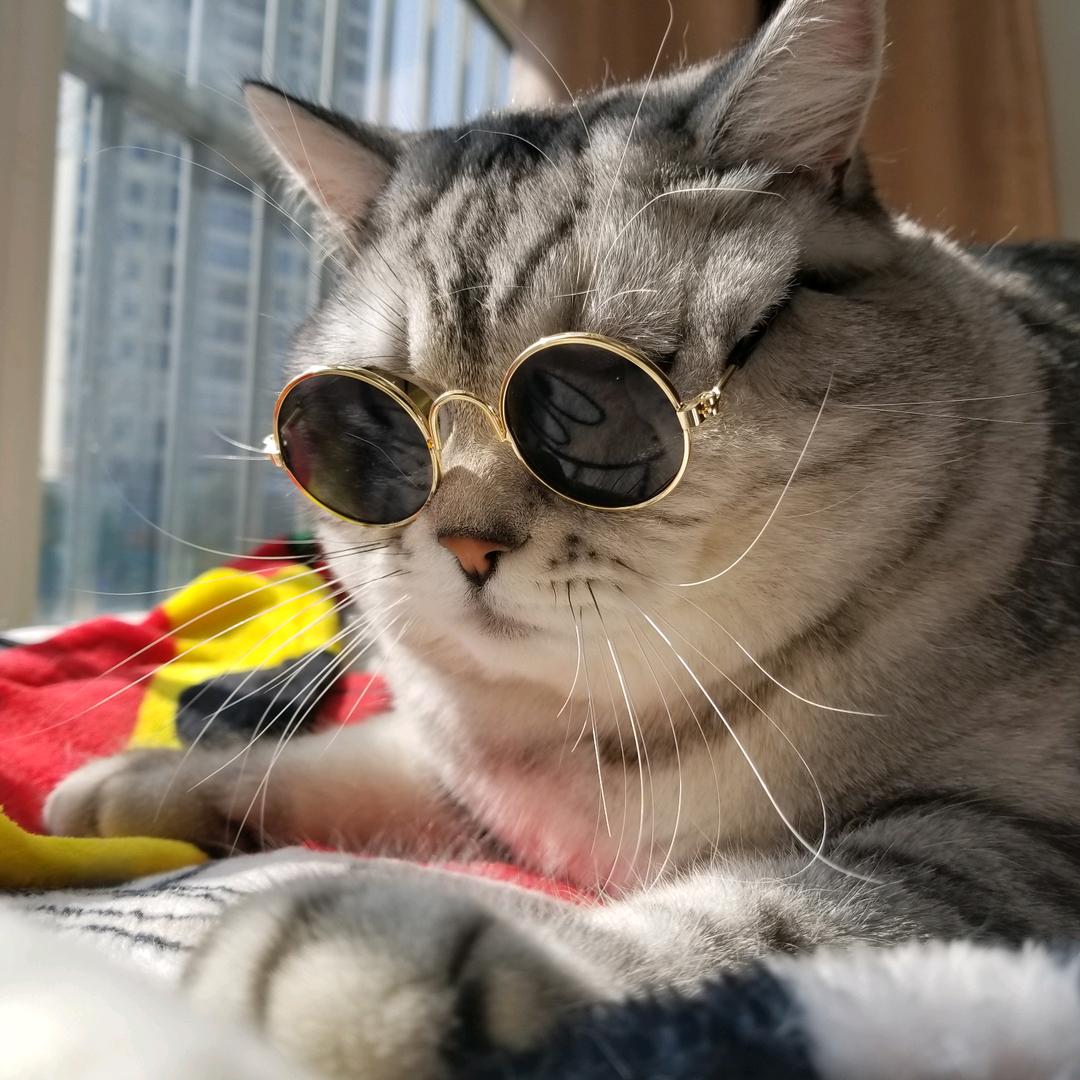 紊。