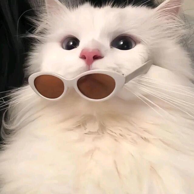 安可