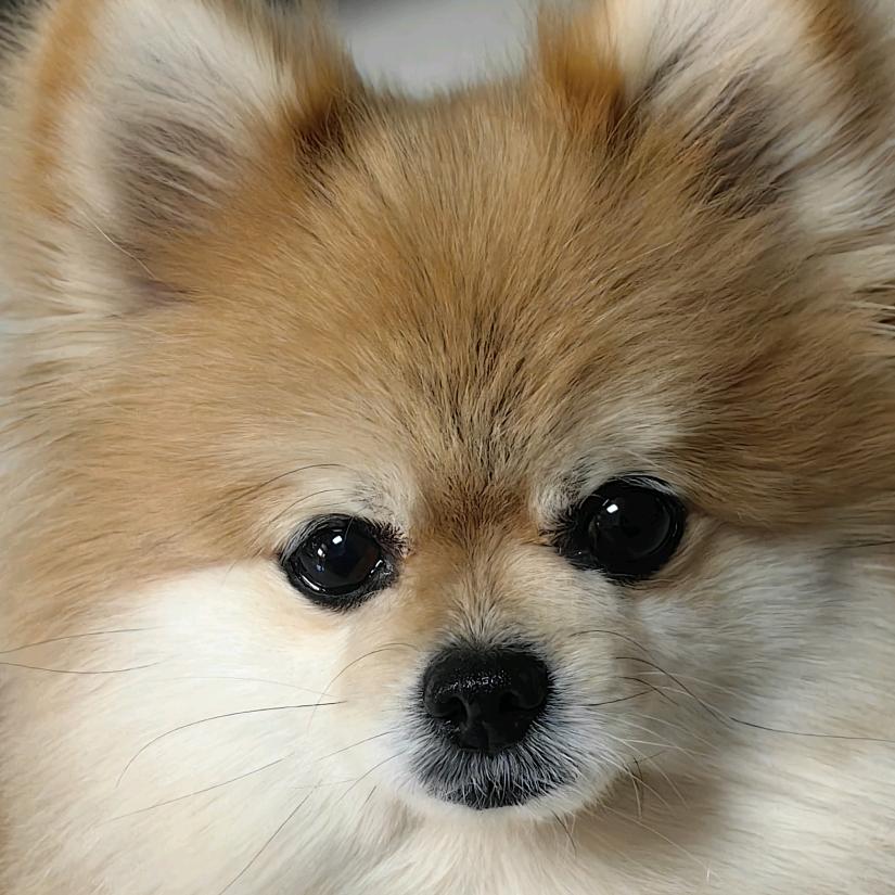 笑嘻嘻