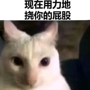 ^ ^砚