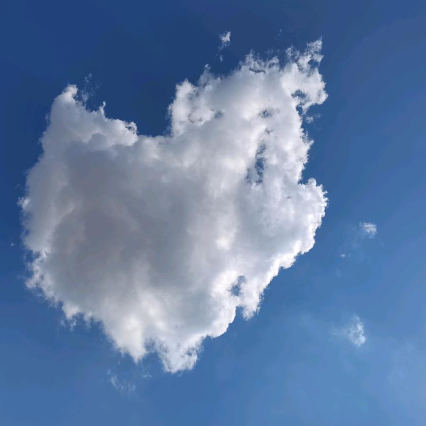 🌸🌸岳西翠兰茶🌺🌺