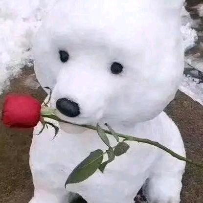 玫瑰花🌹红
