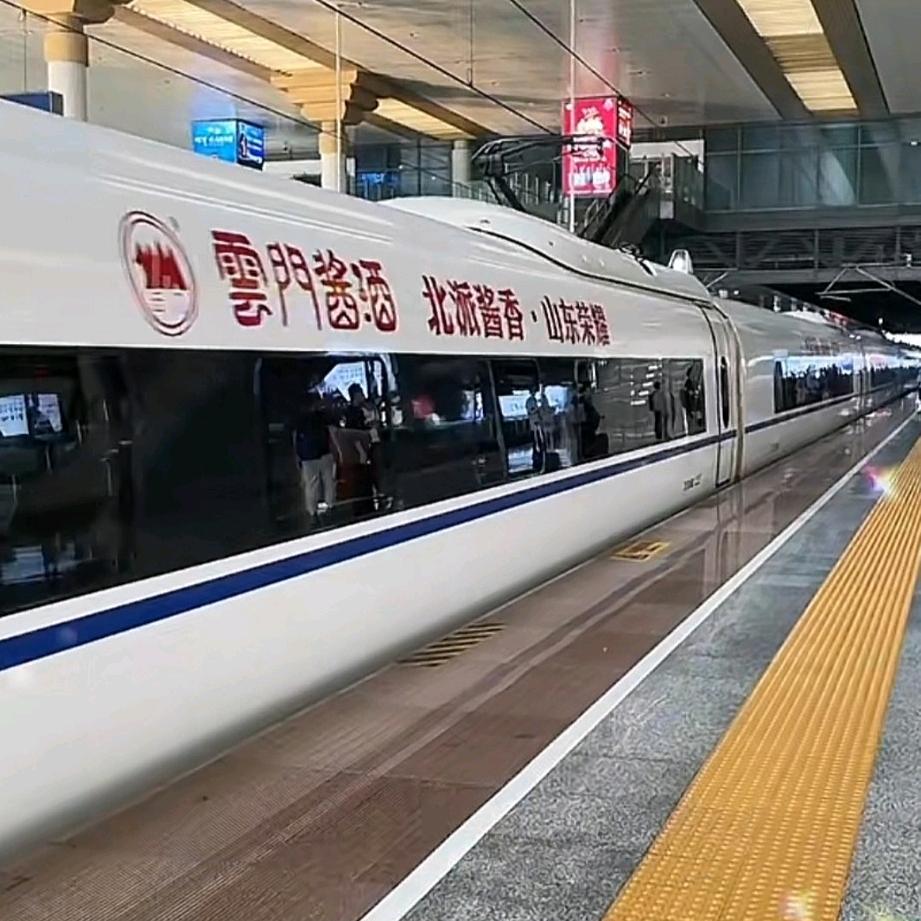 领路人