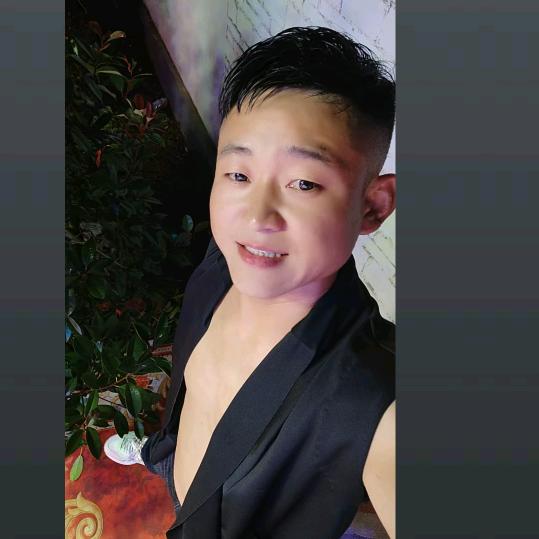 阿振 演艺