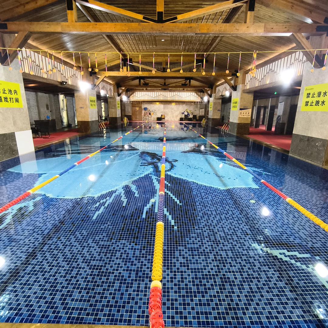 下花园阿尔卡迪亚游泳培训