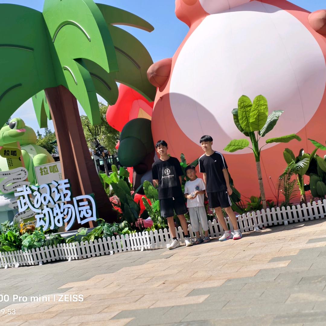 回首往昔