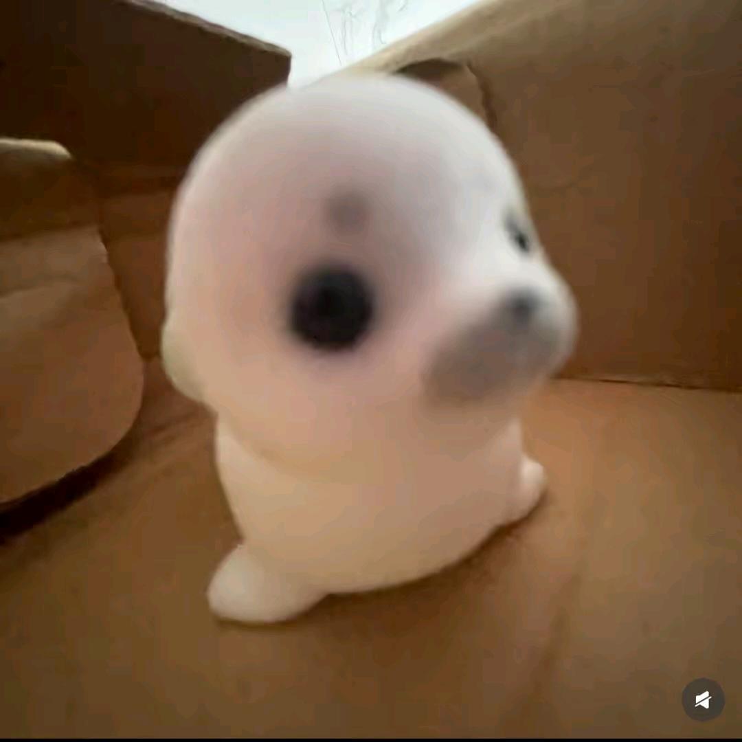 无能的妻子