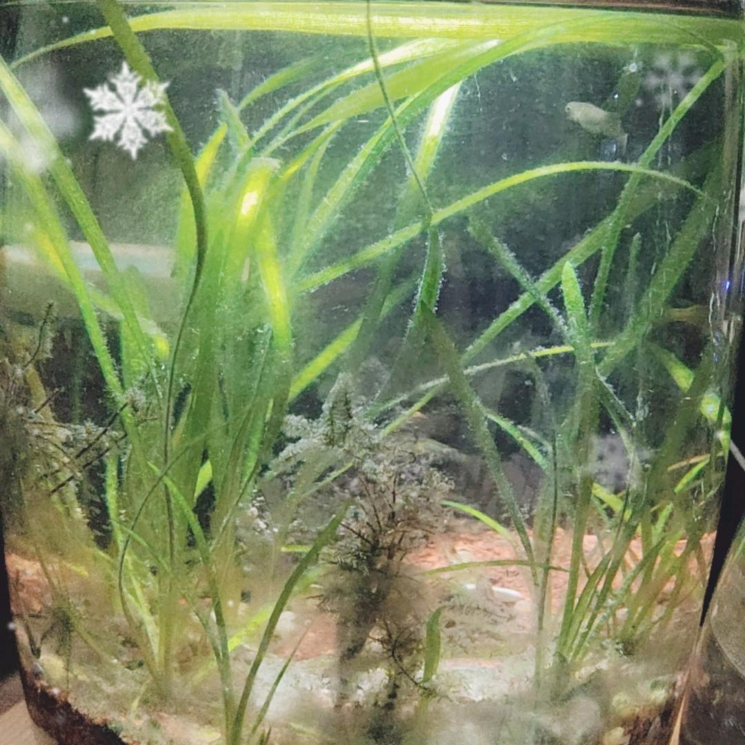 平安喜乐松林信息咨询