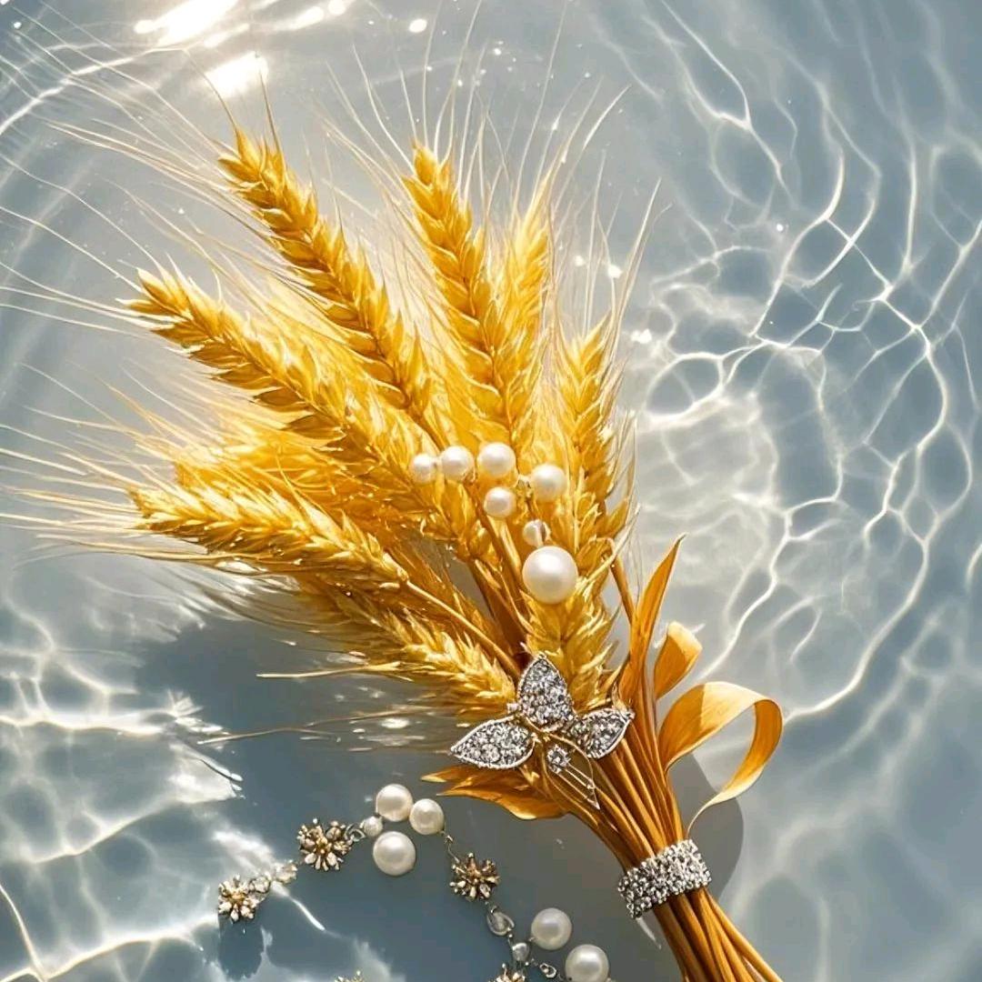 小生这厢有礼了