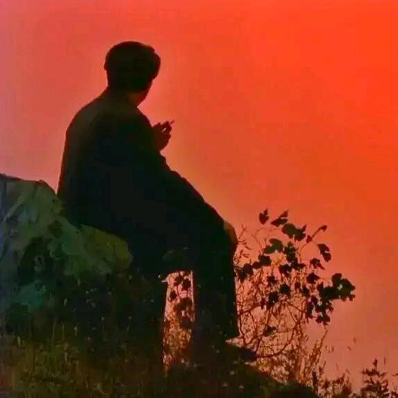 花开正艳，我遇赏。