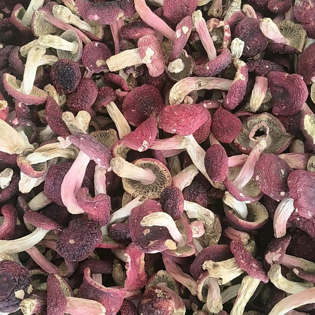 临沧红菇土特产申哥