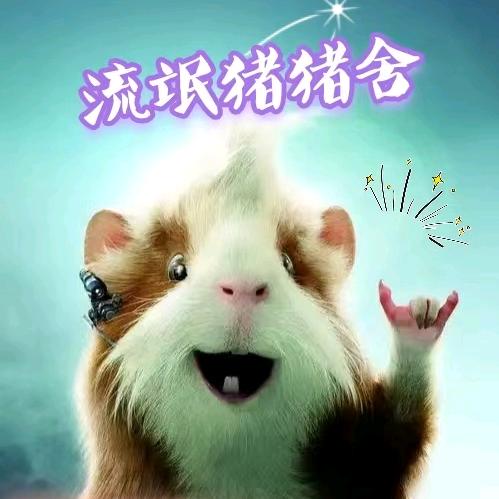 流氓猪豚舍［出小猪］