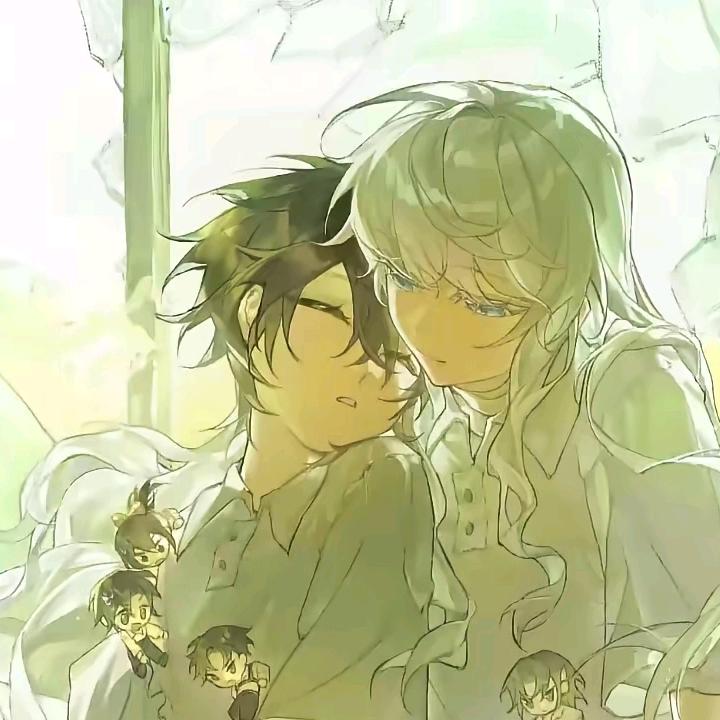 纸鸢.