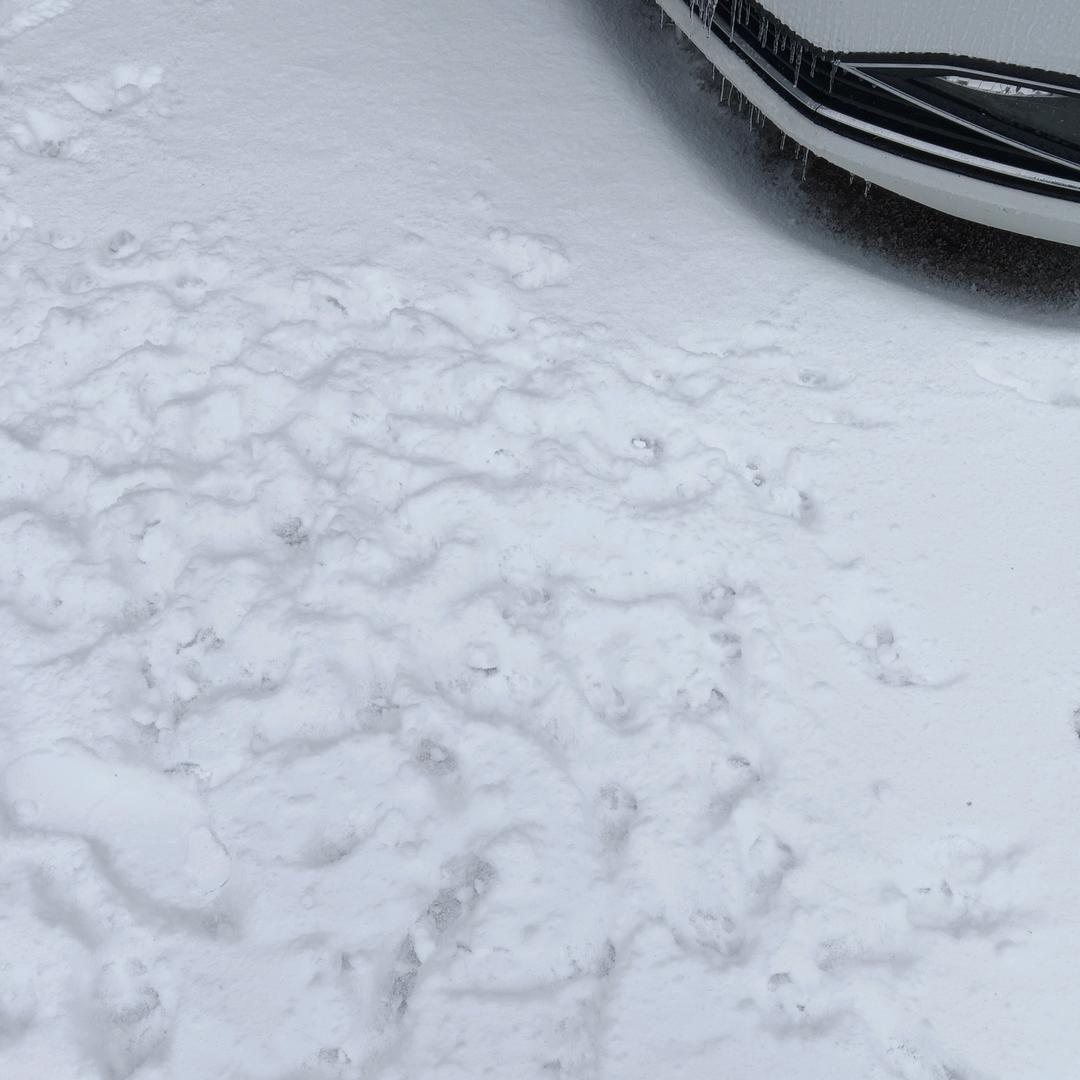 涅槃