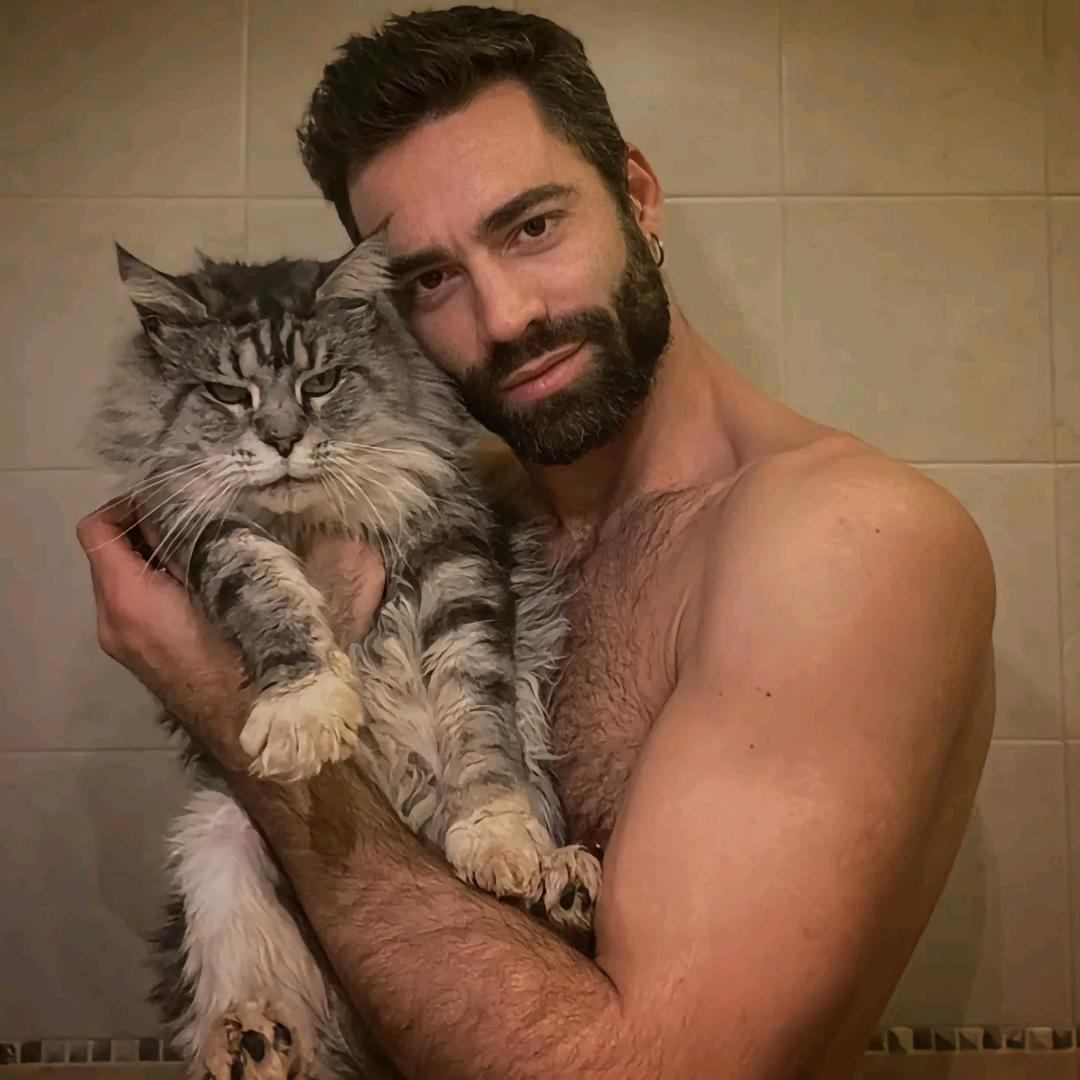 加菲猫