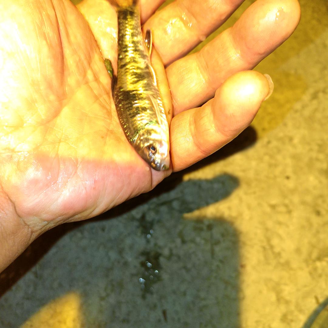 开心娱乐518钓场