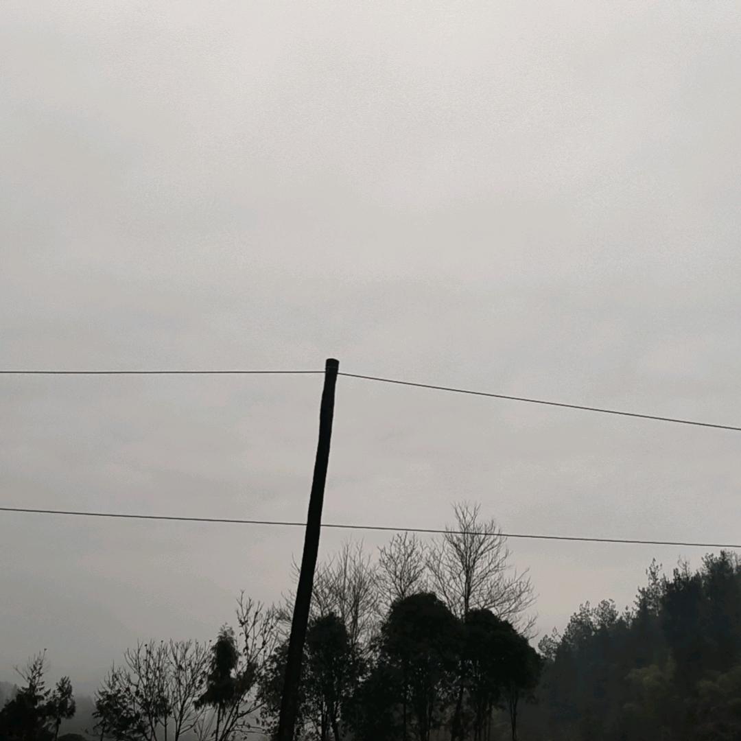 君悦君兮君不知