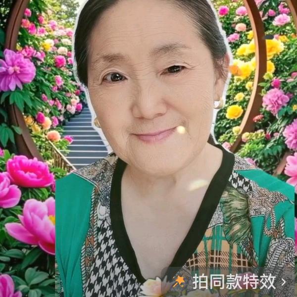 秦阿姨