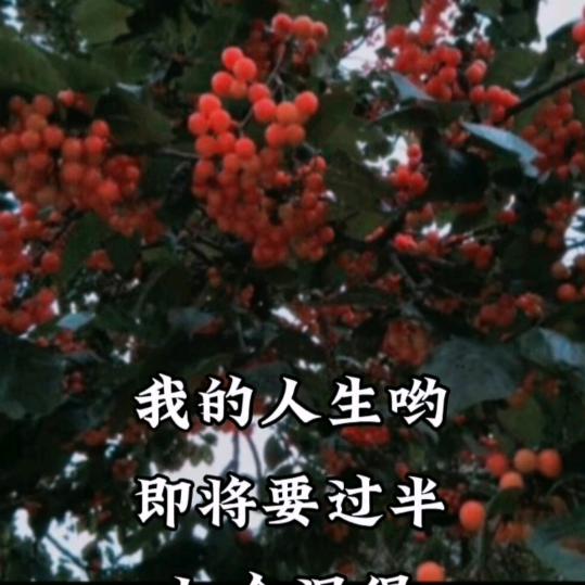 lxf蜗牛