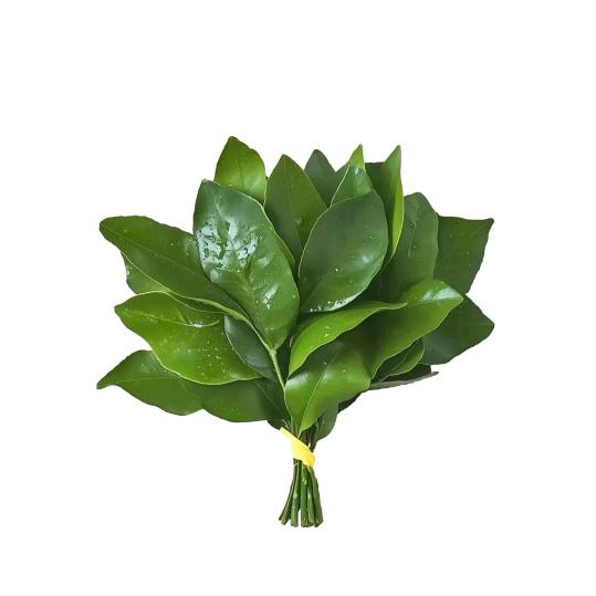 安美居装饰-阿清