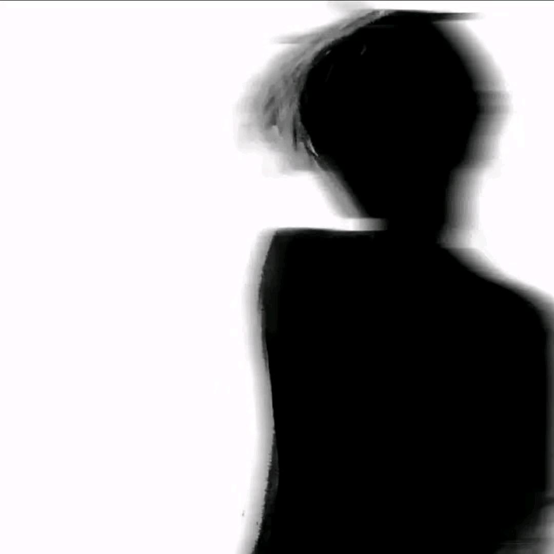 揽月