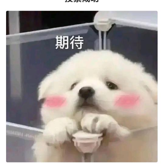 小熊猫南昌