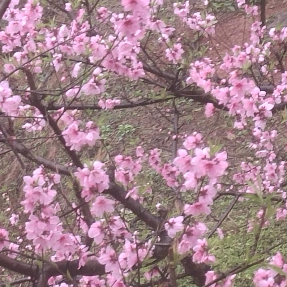 相约在明天💑💑