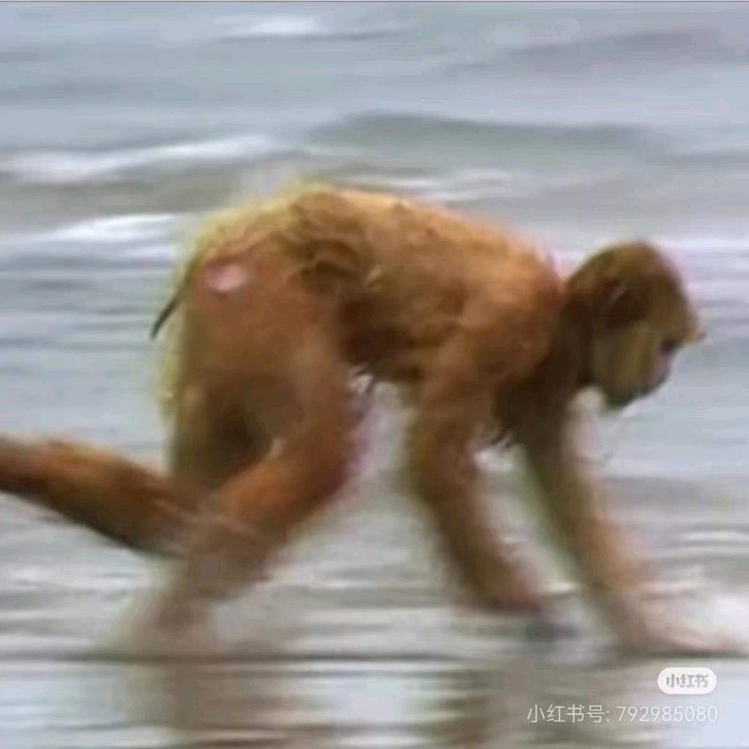 和186的帅哥分手后爱上他的小0老婆