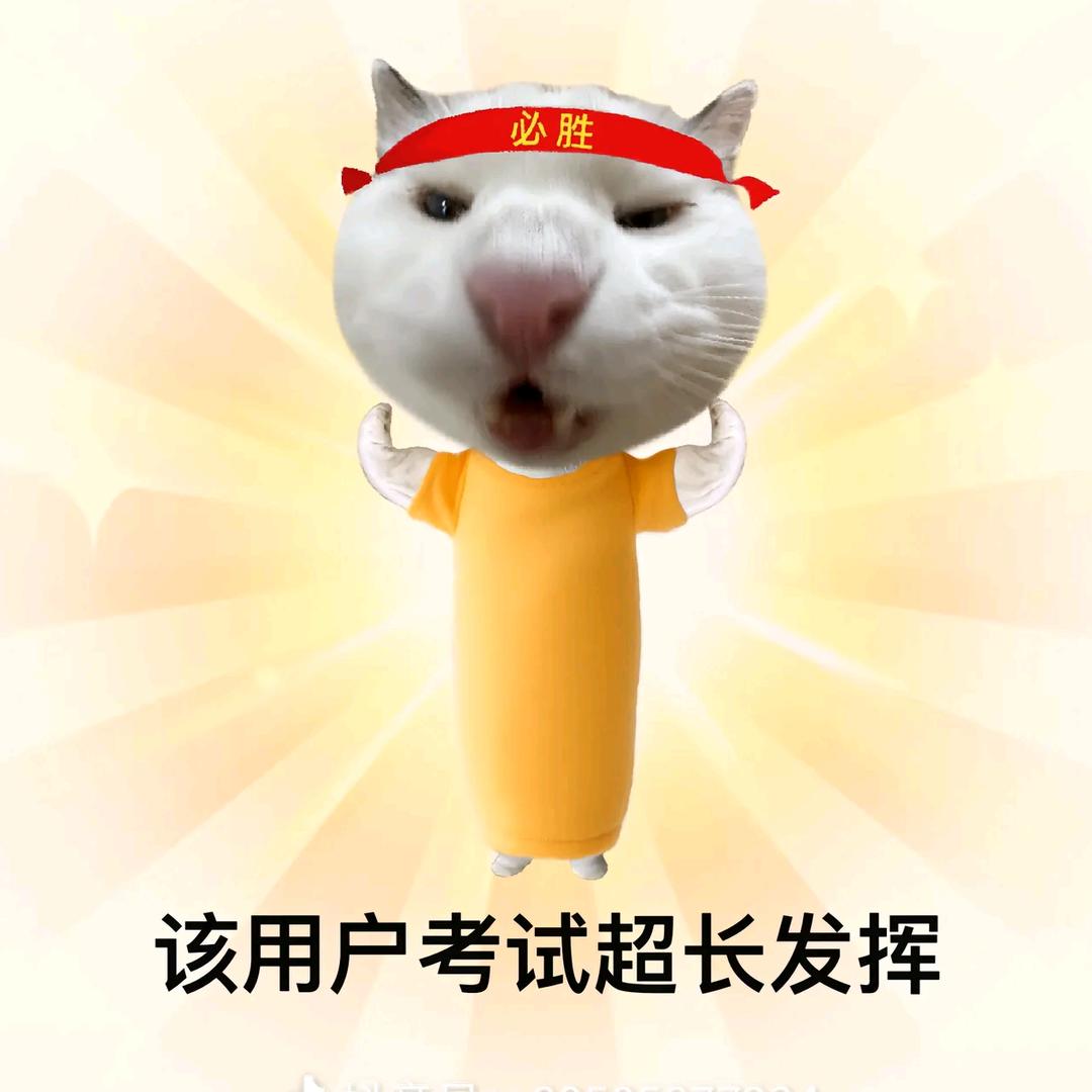 白泊