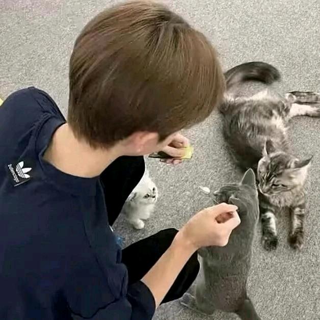 小六特派员