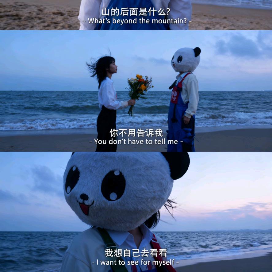 熊猫叮咚大面-小糖