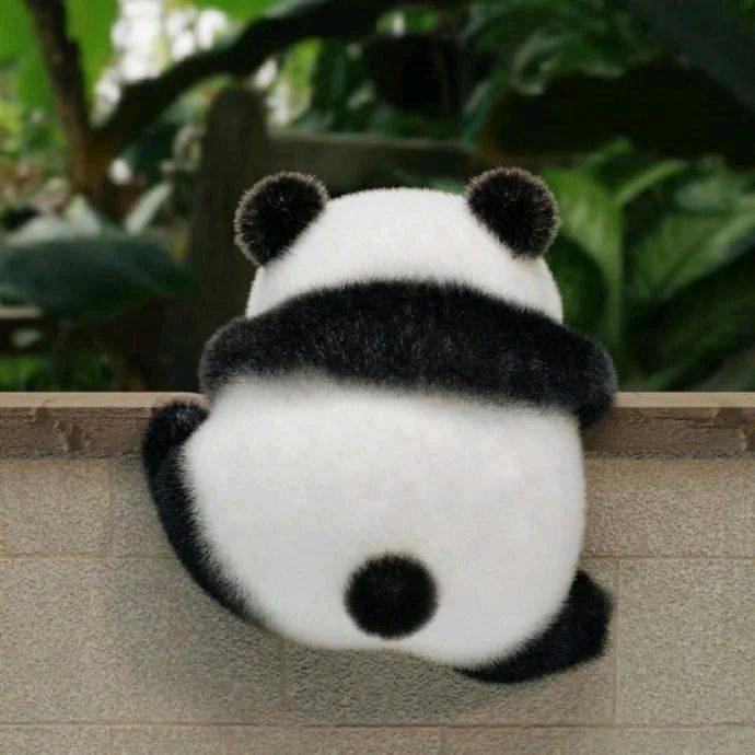 没有伤害救人危机