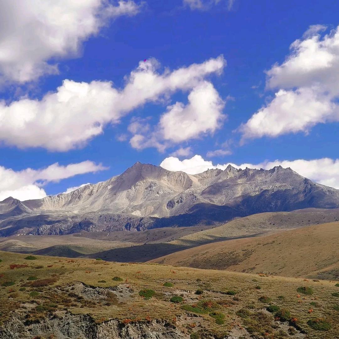 ☛《努力奋斗》