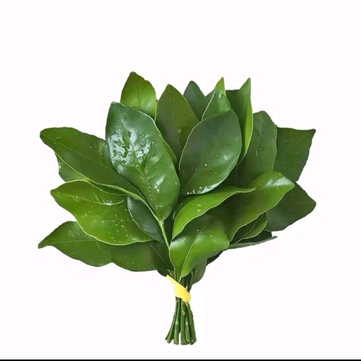 几春望