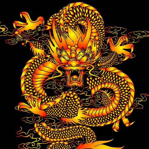 遊🐉