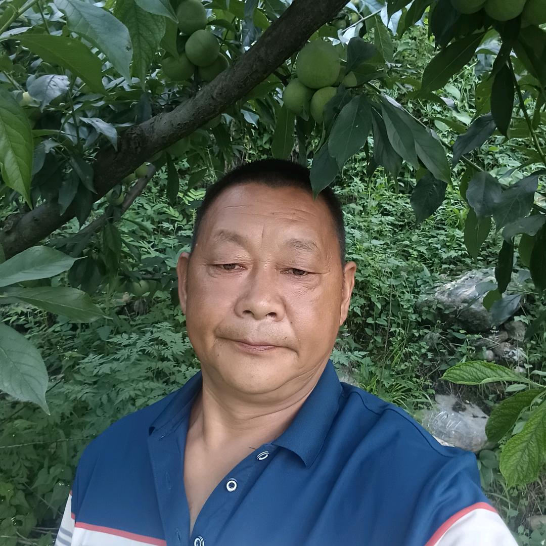 果农白哥