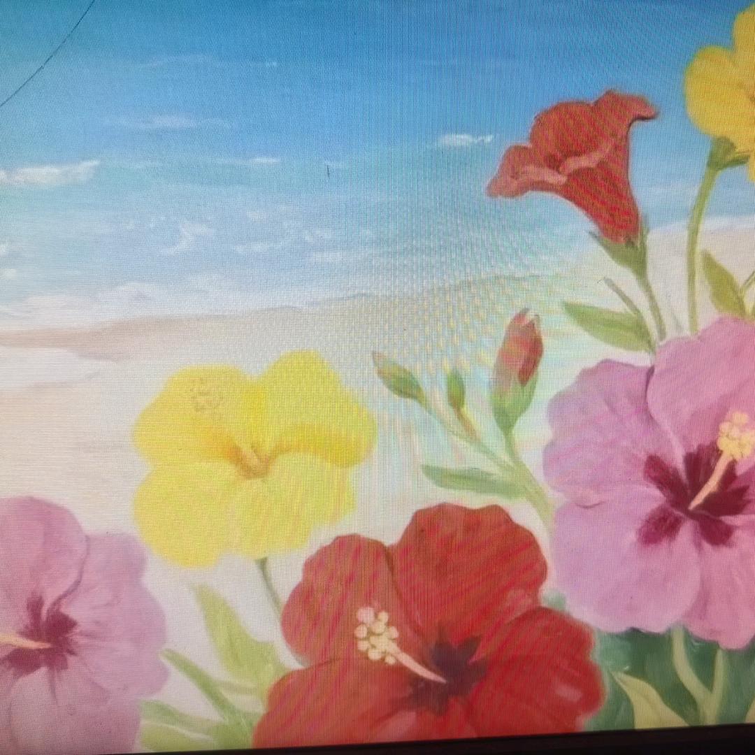 坏坏的乖