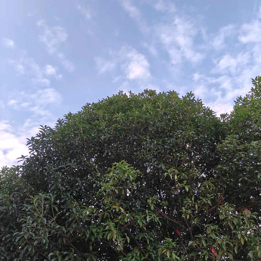 青山绿水